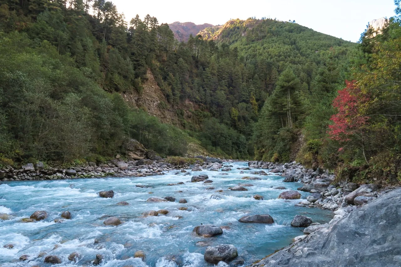 Contemplations of My Time with the River